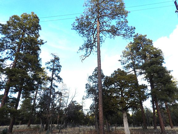 2nd image of 2941 Eagle Ridge Cir