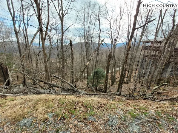 164 Chestnut Way, Beech Mountain, NC 28604