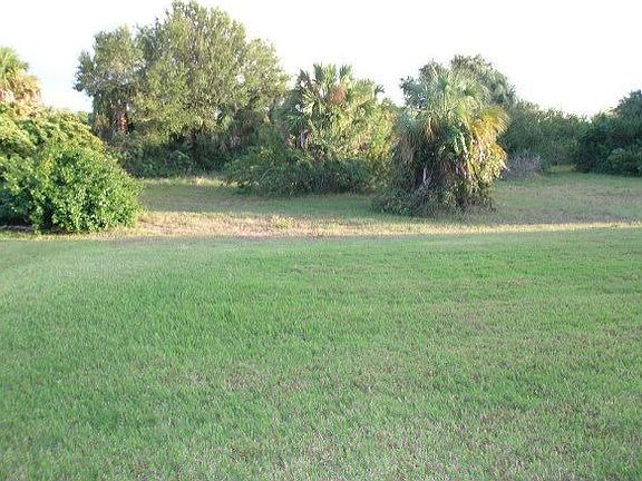 Rear view - Conservation