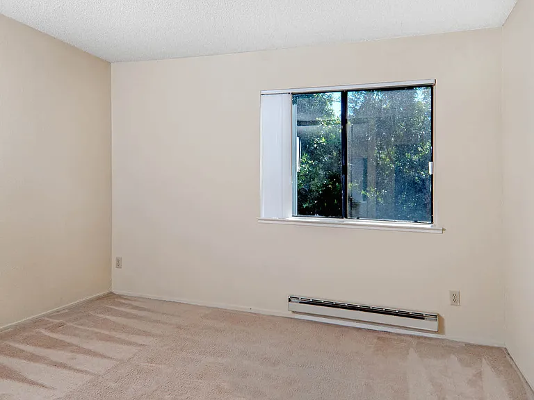 Carpeted Bedroom
