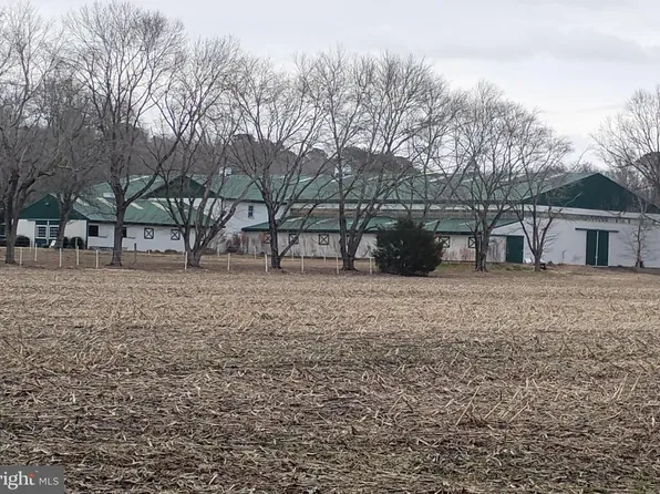 31729 Spearin Rd, Salisbury, MD 21804