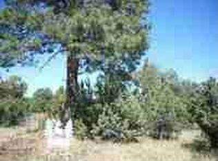 3066 Aspen Rd, Overgaard, AZ 85933