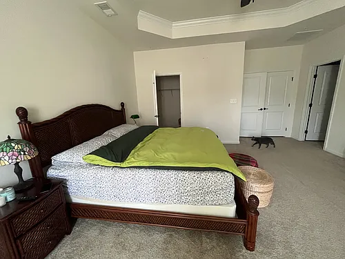 5225 Stream Bank Ln Photo 1