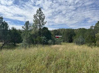 174 Merlin Dr, Timberon, NM 88350