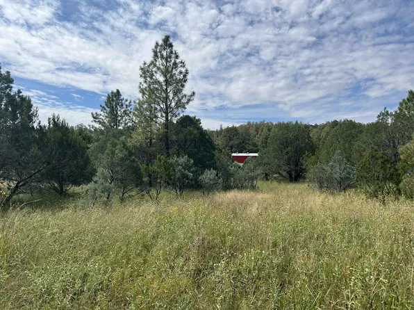 174 Merlin Dr, Timberon, NM 88350