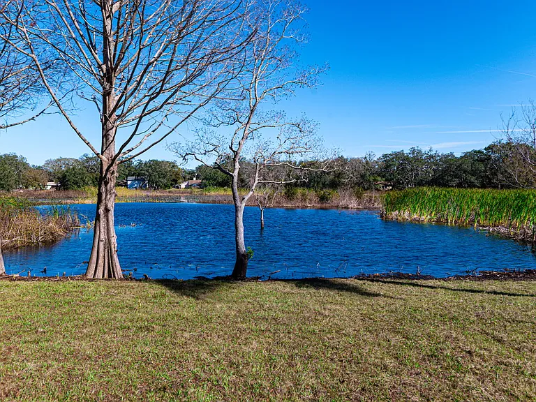 11416 Pine Forest Dr — Photo 46