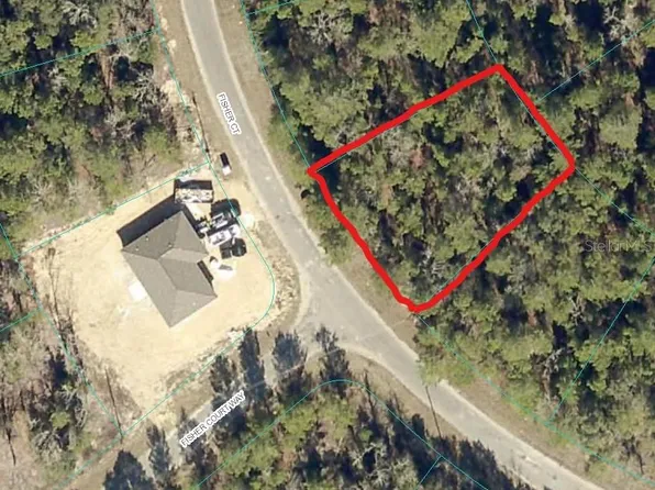 FISHER COURT LOT 9, OCKLAWAHA, FL 32179