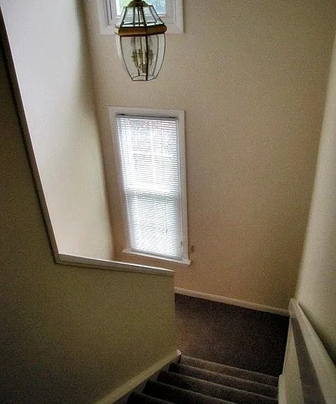 14010 Autumn Woods Rd — Photo 10