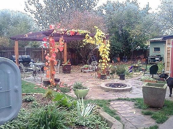 Patio w/BI firepit