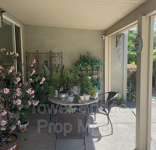 12040 Gold Pointe Ln — Photo 28