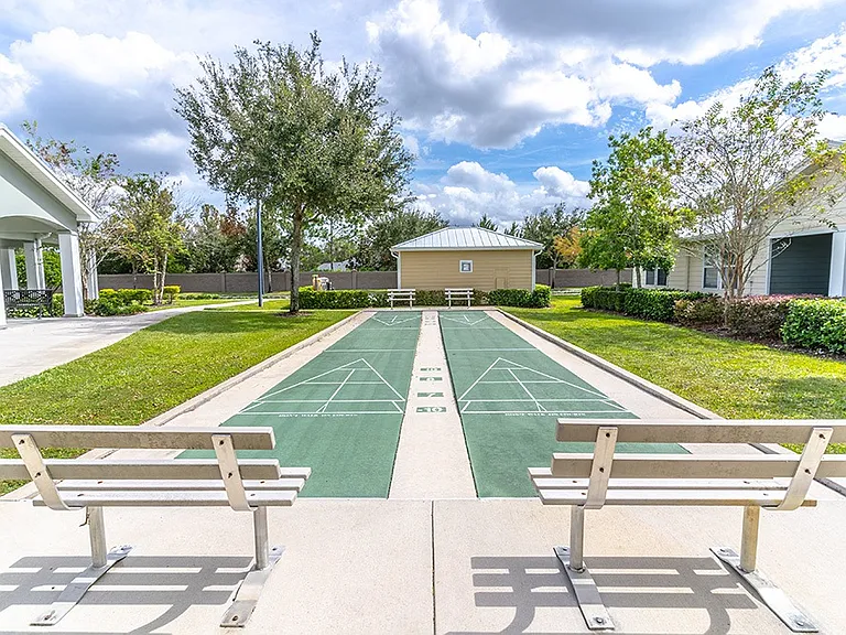 Shuffleboard