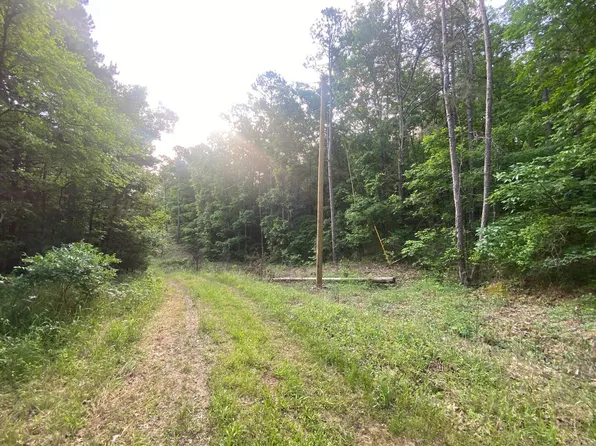 0 Bella Vista Ave, Clinton, AR 72031