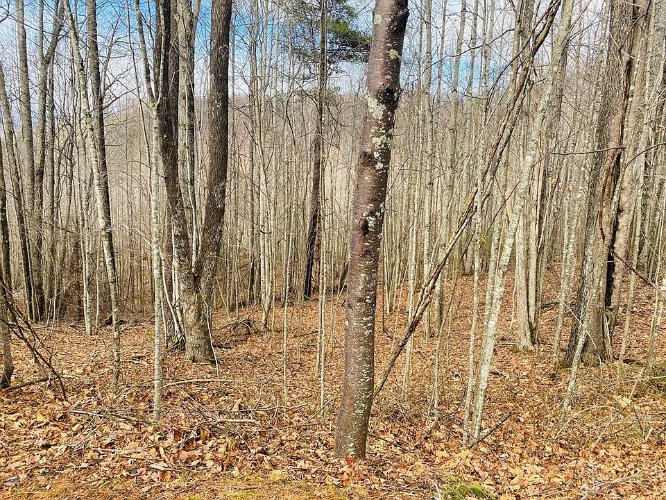 2nd image of 0 Dry Branch Rd