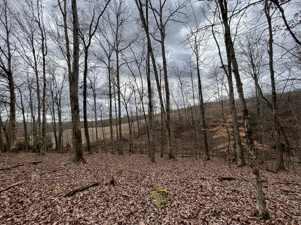 0 Indian Shadows Dr, Ten Mile, TN 37880