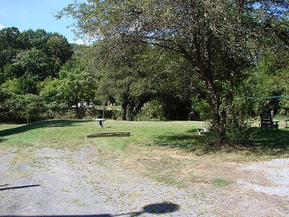 Apple tree in rear yard.