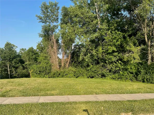 173 Pine Hollow Ln, Collinsville, IL 62234