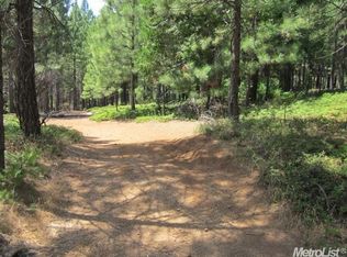 5032 Sciaroni Rd, Grizzly Flats, CA 95636