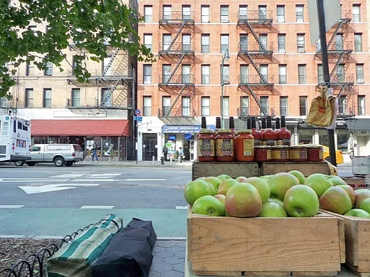 Rented by Bold New York | media 14