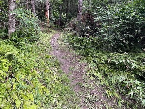 5th image of 191 Pingree Park Lane