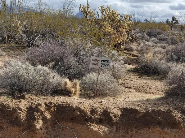 2828 S Billy The Kid Rd, Yucca, AZ 86438