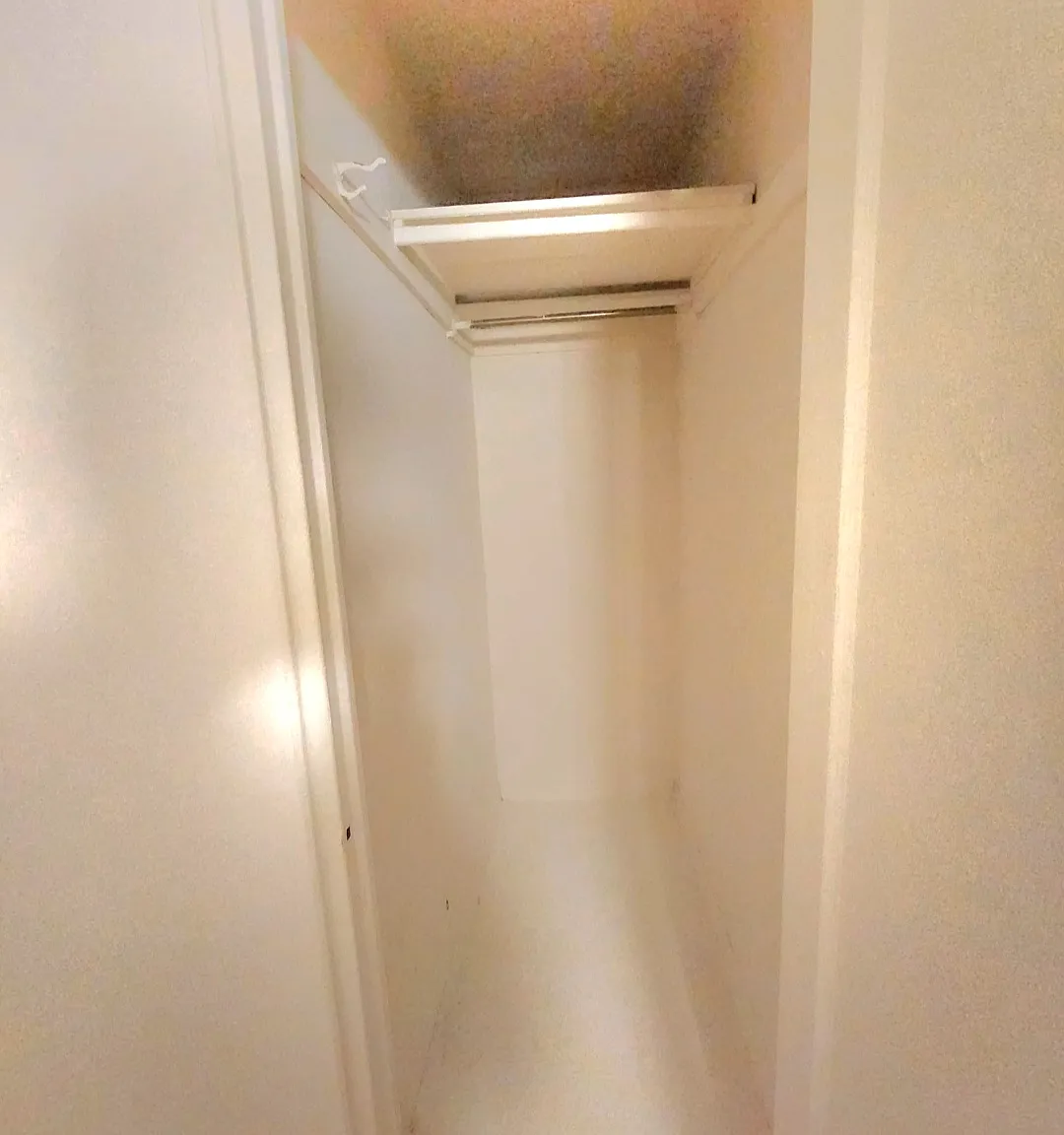 1 bed, 879 sqft, $2,555 — Photo 3
