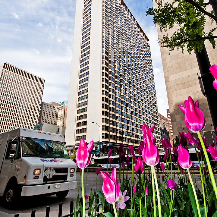 1st image of 535 N Michigan Ave APT 2516