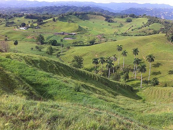 2nd image of 633 Km 1.6 Barrio Barahona St