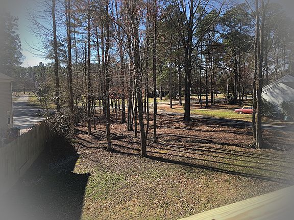 Right side lawn and "woods"