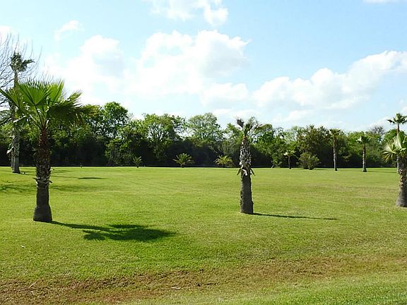 1.78 ACRES WITH 48 PALM TREES.