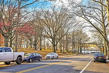 Rented by Amorelli Realty