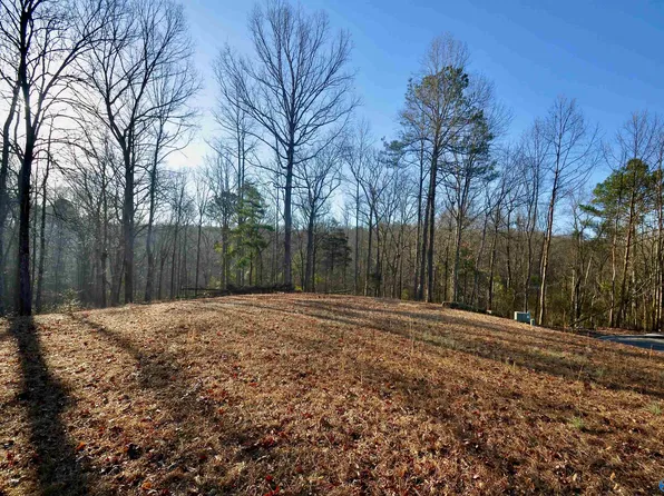 LOT 5&6 Ryan Creek Rd, Cullman, AL 35055