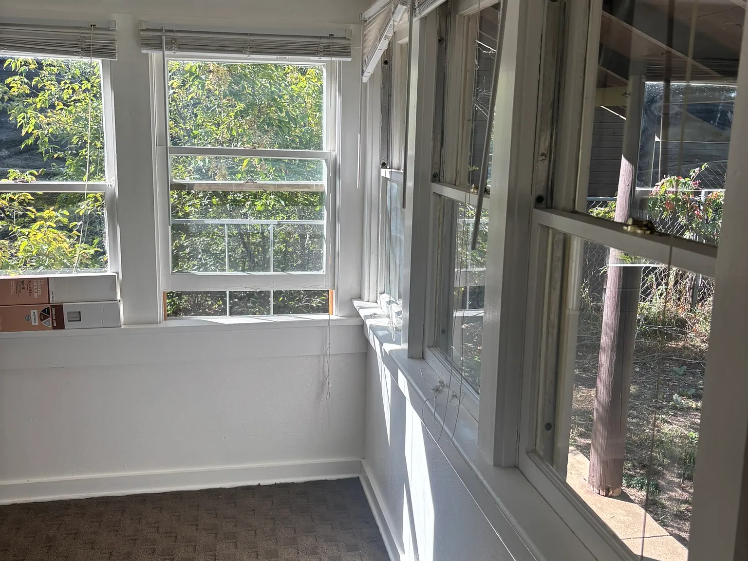 1 bed, 351 sqft, $1,350 — Photo 2