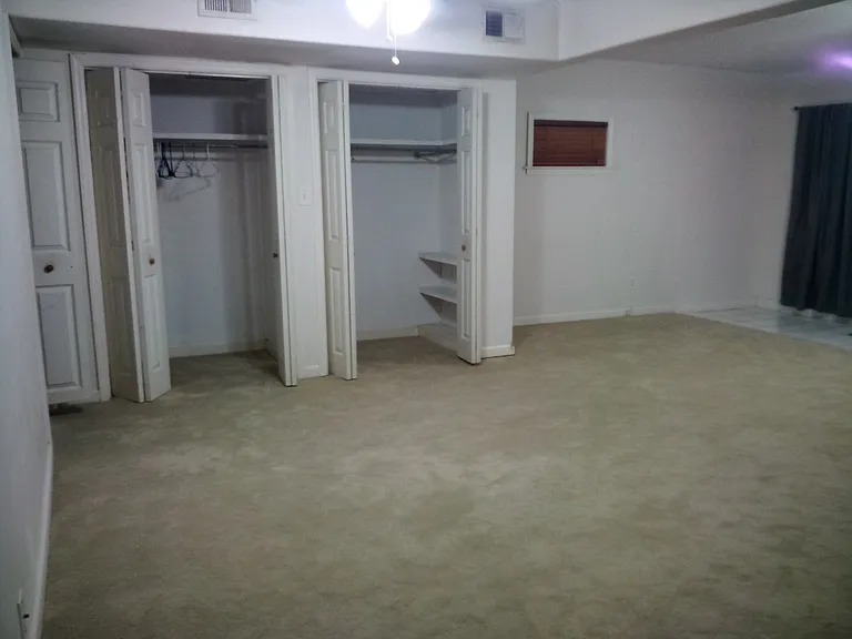 (2) Downstairs Bedroom Closets