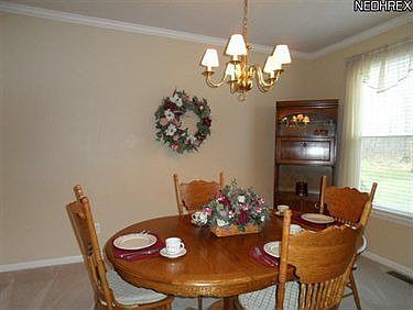 5th image of 20231 Colleen Ct