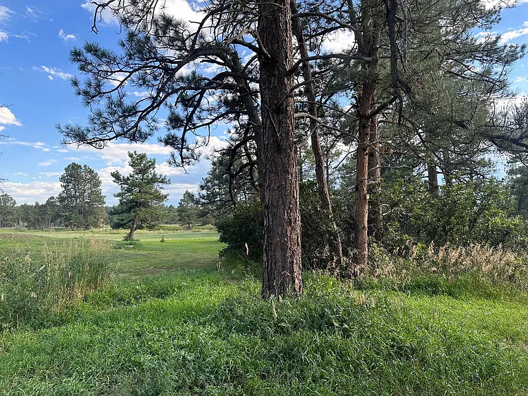 You have full use of property which also includes full disc golf course and your own separate fire pit with seating.