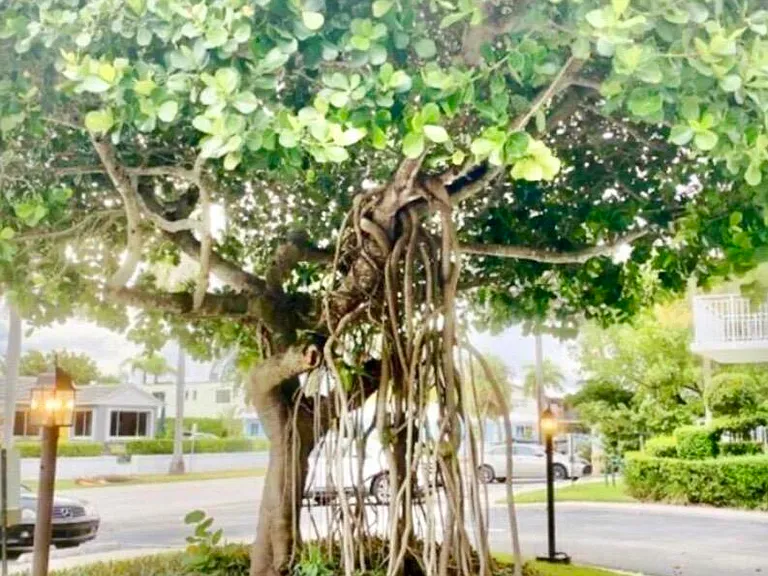 33 Ocean Ave #501 — Photo 53