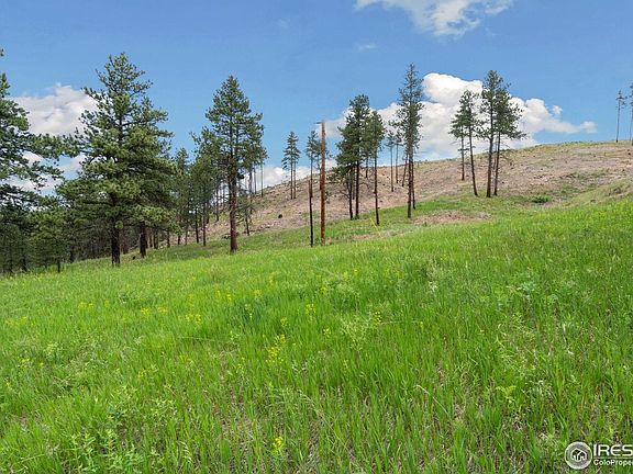 4th image of 620 Davis Ranch Rd