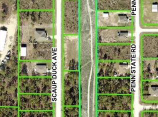 Thrasher Power Lines Ave, Brooksville, FL 34614