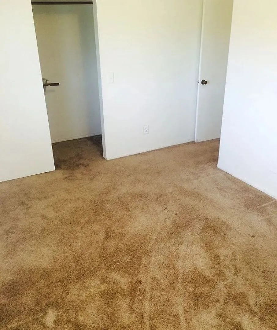 2 bed, 1.0 bath, 798 sqft, $1,150 — Photo 4