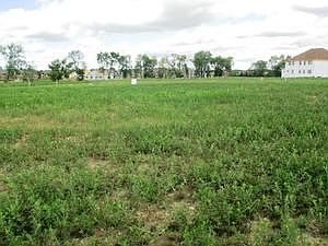 2nd image of 10655 Deer Trail Ct