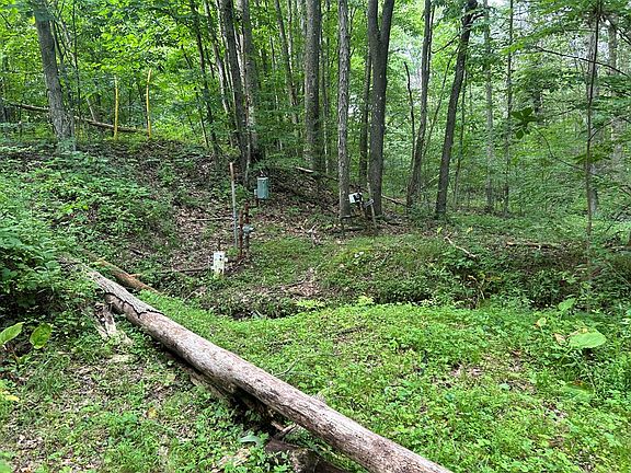 3rd image of Holly Hill Rd