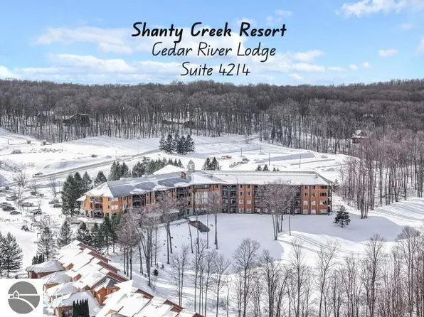 2400 Troon S #4214, Bellaire, MI 49615