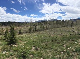 68 Salt Lick Cir, Silverthorne, CO 80498