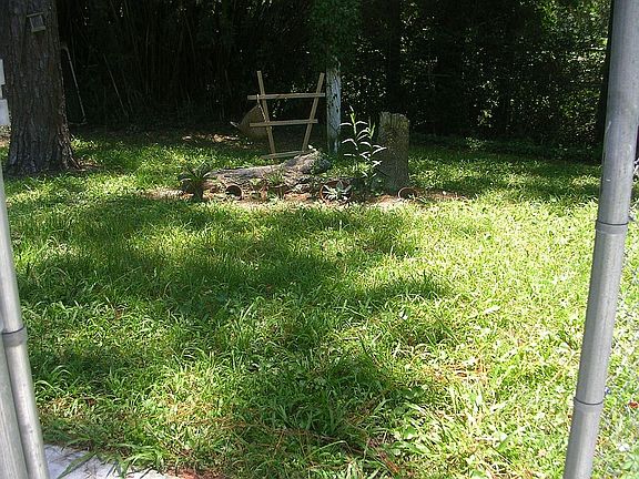 5th image of 368 Knox Dr
