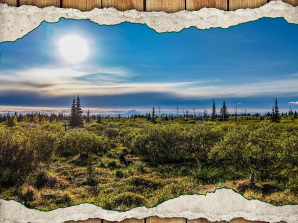 54151 Straight In Trl SW, Ninilchik, AK 99639