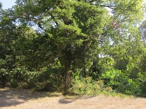 1st image of 6727 Sunnyland Ln