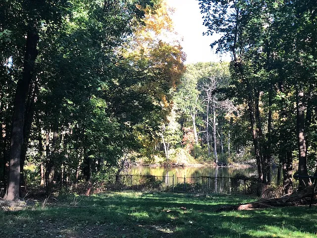 2 bed, 2.5 bath, 1500 sqft, $2,800 — Photo 4