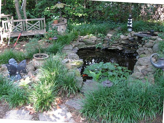  Pond