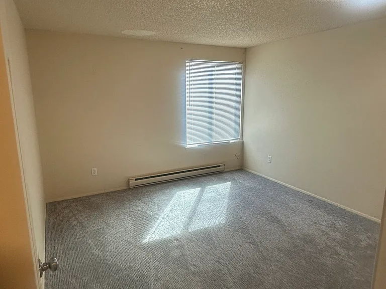 1520 W Clark St #E — Photo 8