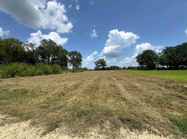 25 Nash Landing Ln, Counce, TN 38326